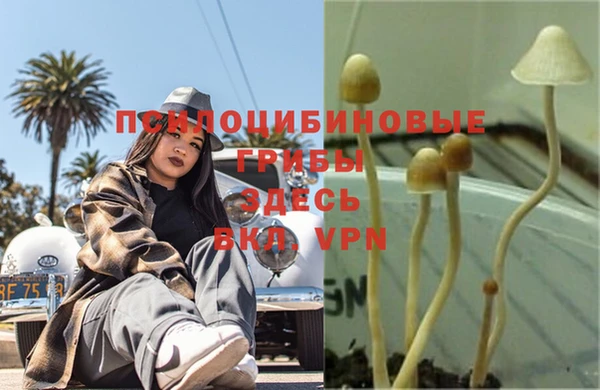соль курить ск Аркадак