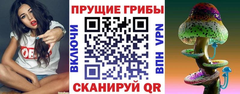mega вход  Тетюши  Псилоцибиновые грибы мухоморы 
