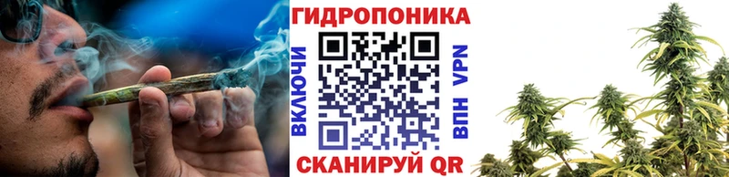 дарнет шоп блэк спрут зеркало Конопля Amnesia даркнет наркотические препараты Тетюши